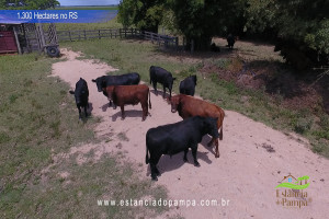 Criado em galpão-Os Serranos [VDownloader].00_00_56_18.Quadro014_173f892a2027a2b83ecc490c3bae36da07974fa6.jpg